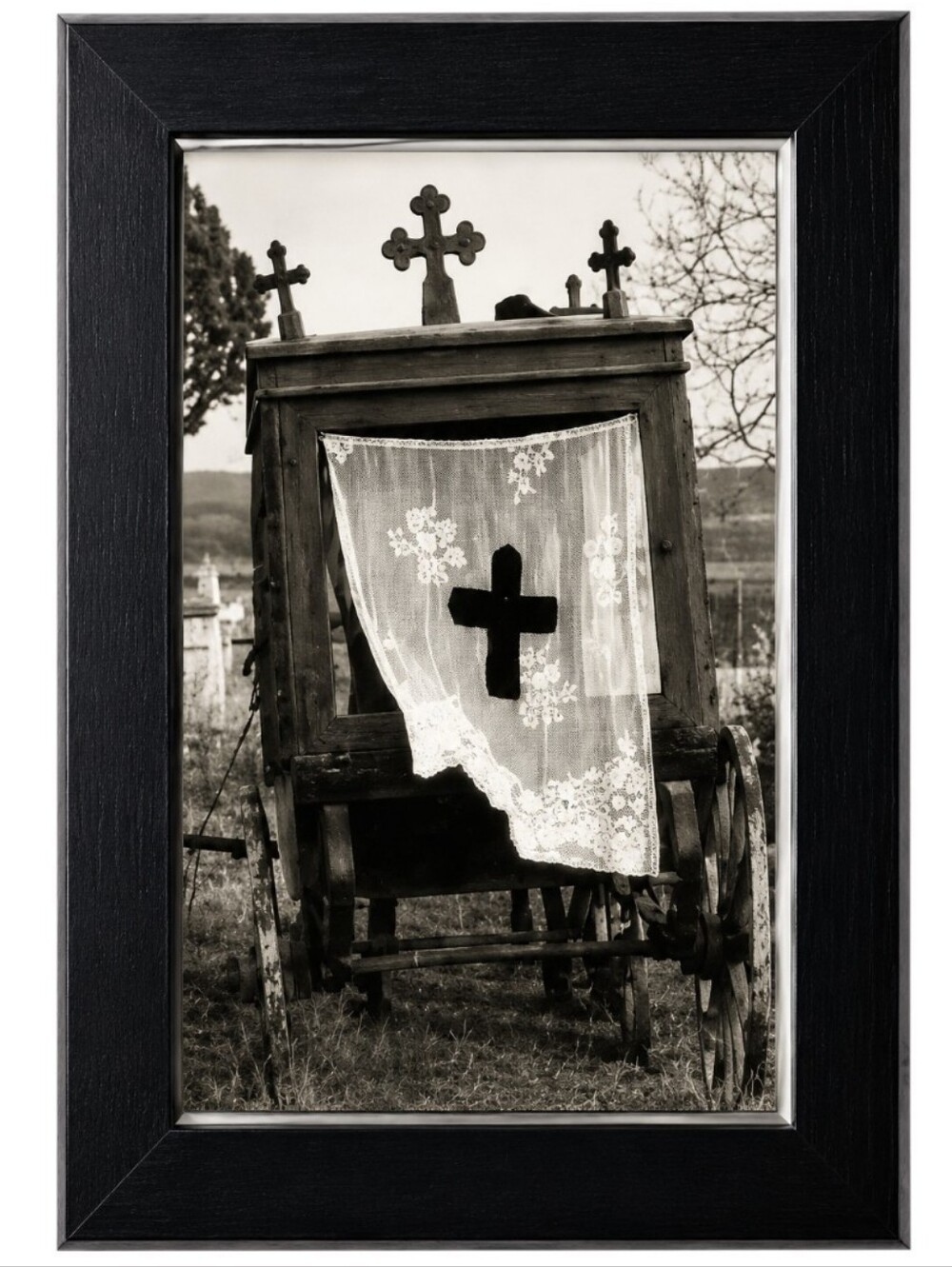 Vintage Funeral victorian Horse Horses carriage Hearse Gothic dark Photograph